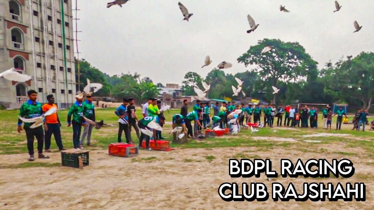 রাজশাহীতে গরমে ২৫ কিলোমিটার ঐতিহাসিক কবুতর রেসিং টুর্নামেন্ট