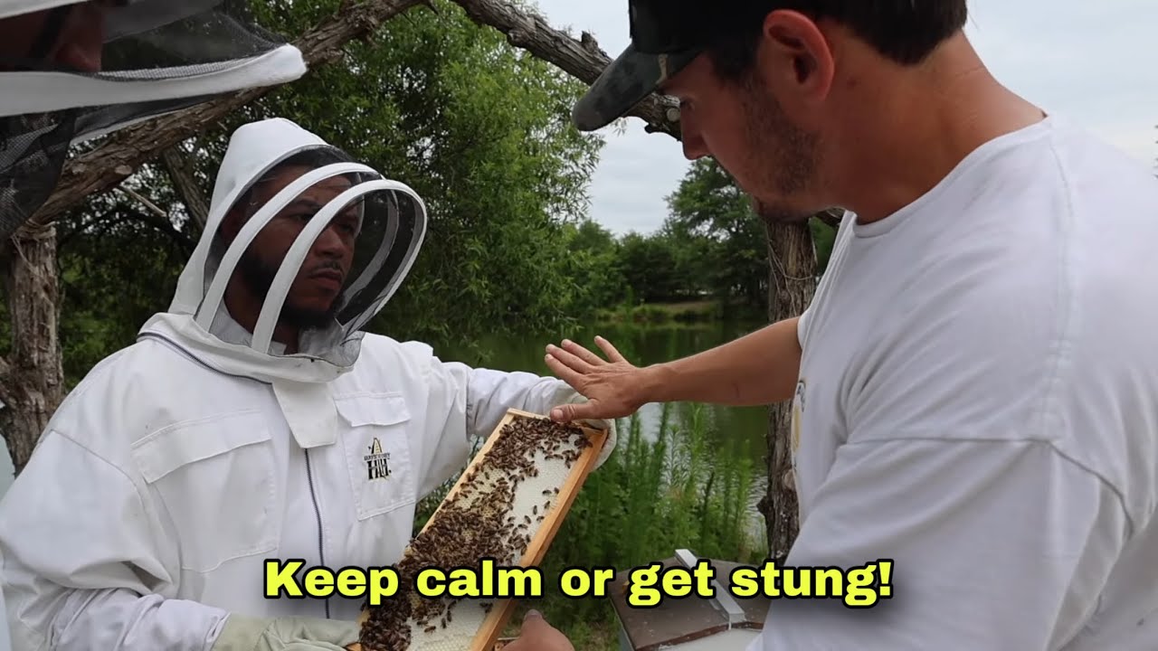 Becoming a bee keeper for 24 hours&hellip;