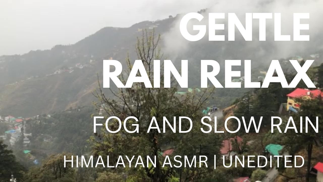 14 Minutes of Gentle Rain in the Himalayas 🌧️ | Fog & Slow Rain ASMR | No Edit, No Music, Raw Sound