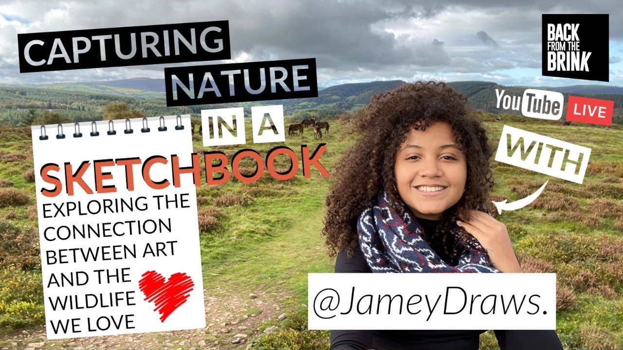 Capture nature in a sketchbook: exploring the connection between art and wildlife