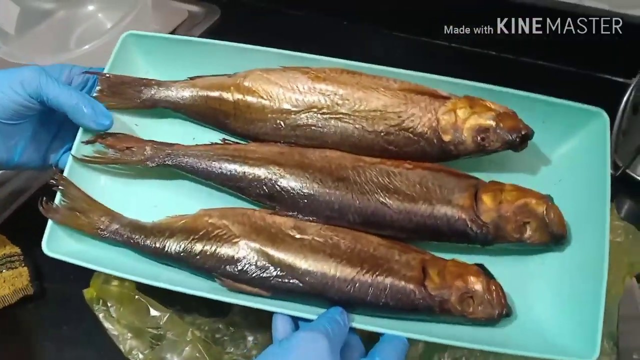 الرنجه ياجماعه الرنجه 🐟🐟 من اول التنضيف حتى الاكل يمى يمى