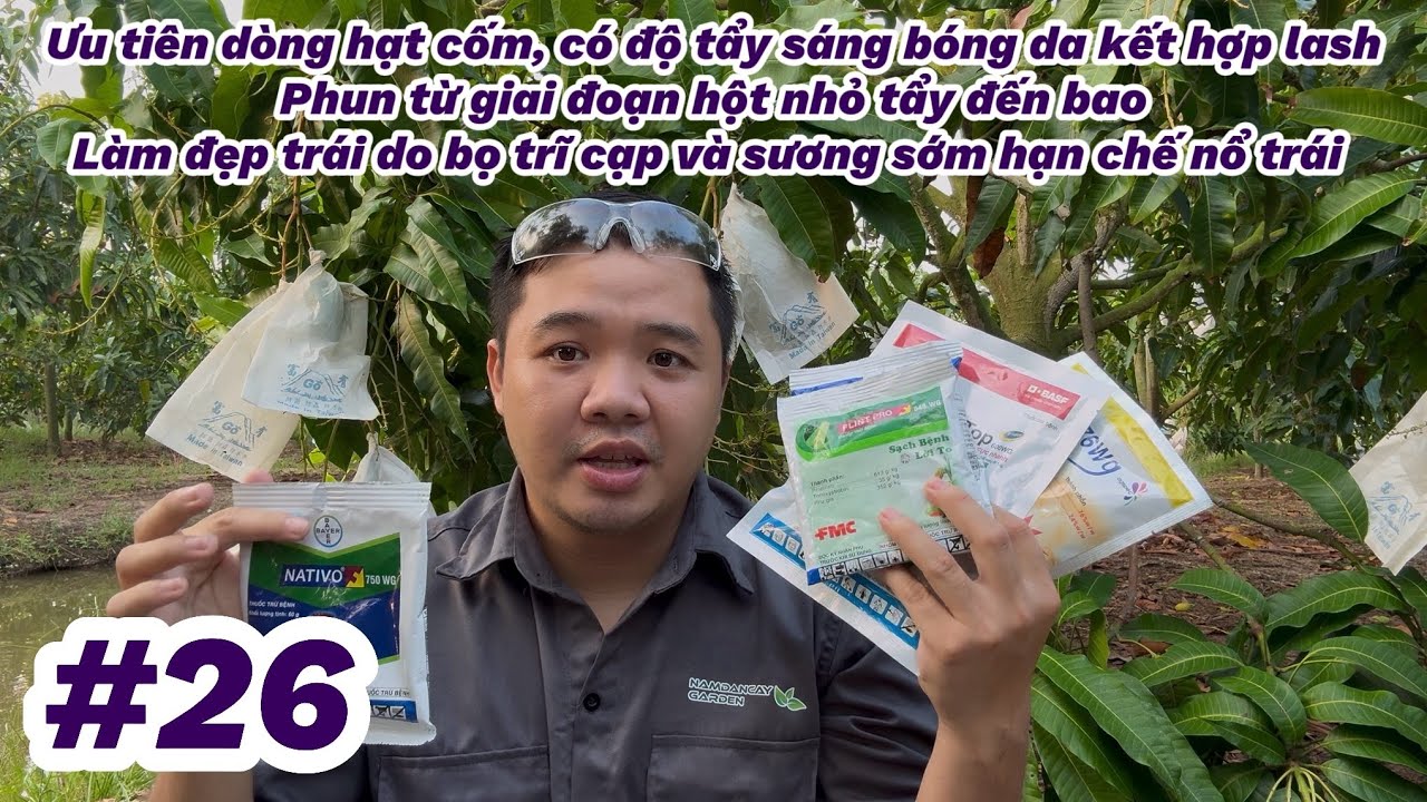 #26: Tẩy sáng đẹp mịn bóng trái ngay từ lúc hột nhỏ hiệu quả hơn, cải thiện da do bọ trĩ, sương sớm 