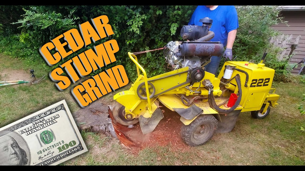 CEDAR STUMP, GRIND & GO!