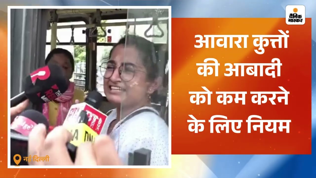 Supreme Court Order on Stray Dogs: CJI गवई बोले-आवारा कुत्तों के मामले में दोबारा विचार करेंगे
