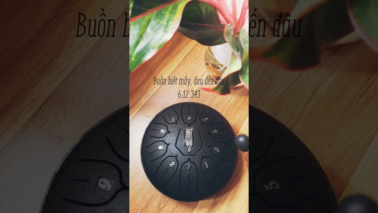 Gặp lại năm ta 60 🌈 11 Tone Tank Drum cover🎐