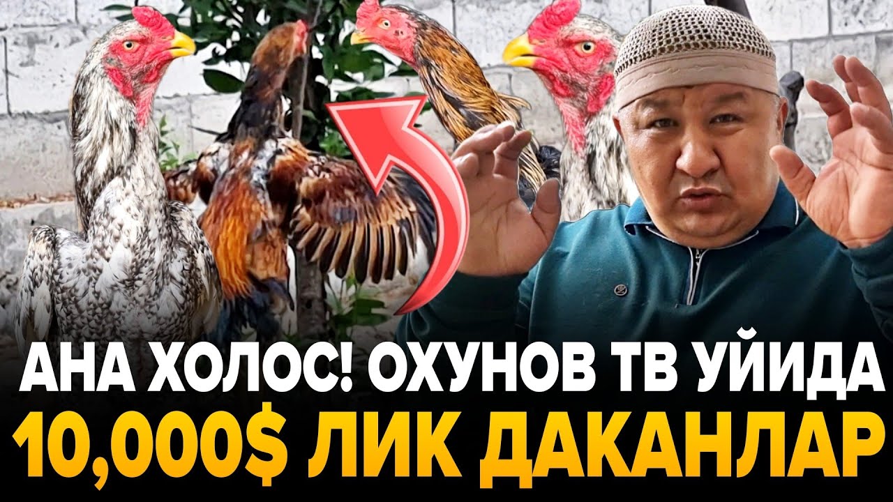 ОХУНОВ ДАКАНЛАРИ ПАРВОЗЛАР УЧУН УДАР ВИДЕО...15-ХИЛ ЗОТЛАРИДАН БУНИ КУПЧИЛИК СУРАГАНДИ...