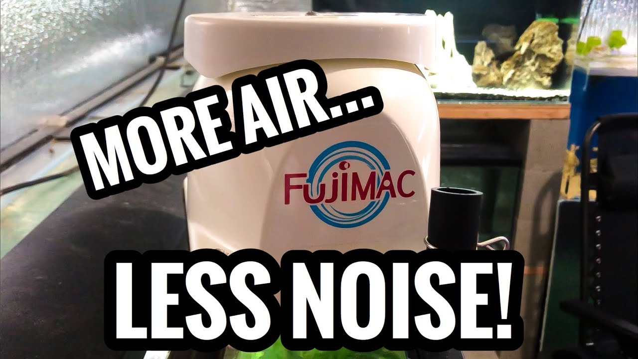 Is THIS the Quietest (Fishroom) Air Pump?