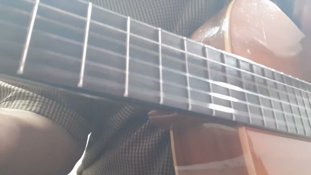 Viver a Vida Sem Você 