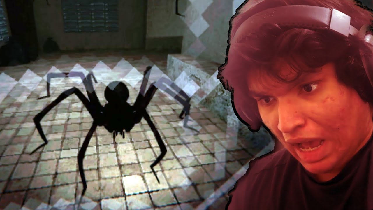 A GIANT SPIDER ATTACKED ME!!