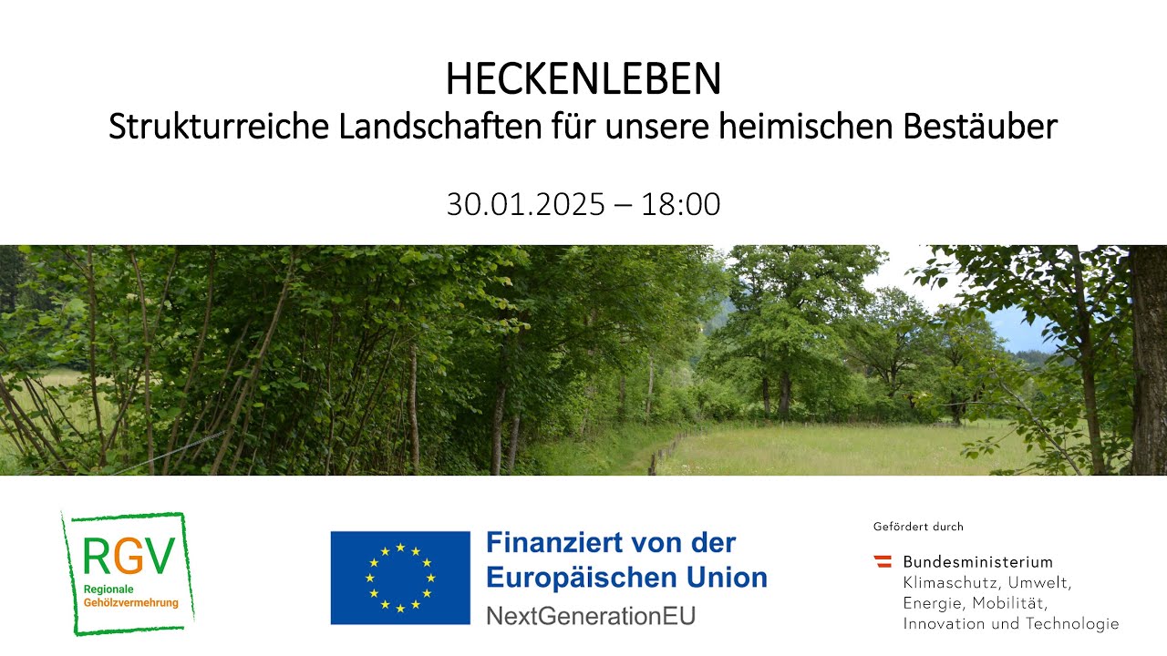 Webinar Heckenleben