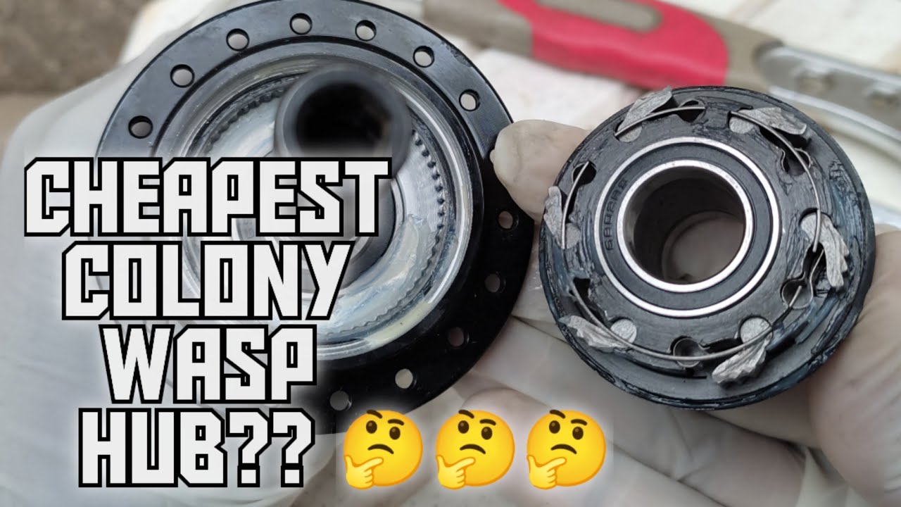 CHEAP COLONY WASP HUB REVIEW - Chinese Knockoff??