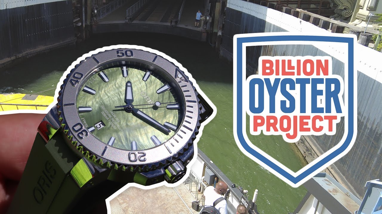 Oris x Billion Oyster Project