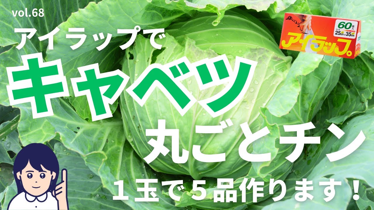 【アイラップ・キャベツ】1玉丸ごとレンチン５品🥬✨キャベツの栄養も芯も無駄なし！😋vol.68 #アイラップレシピ #アイラップ使い方 #キャベツレシピ #アイラップ便利 #アイラップ人気レシピ