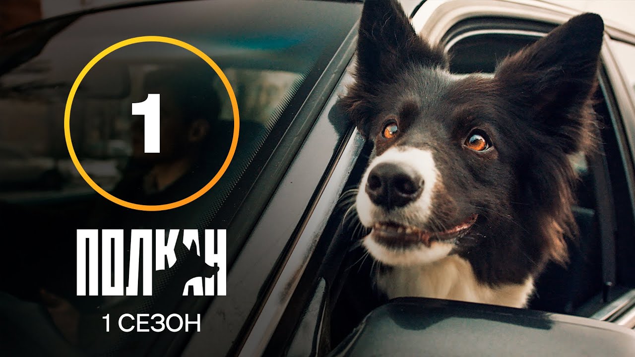 Сериал Полкан 1 серия | КОМЕДИЯ | ДЕТЕКТИВЫ | НОВИНКИ КИНО 2022