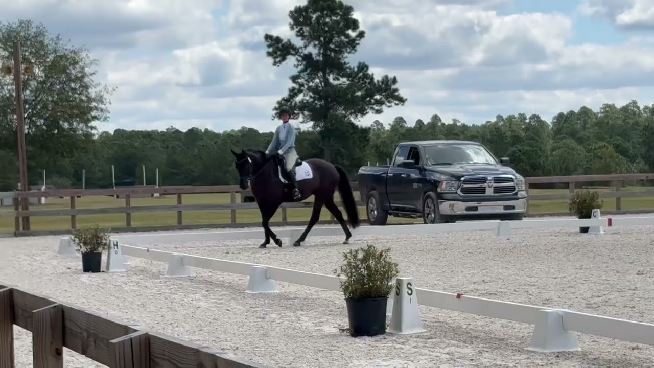 Bon Fleur 75% First Level Test 3 