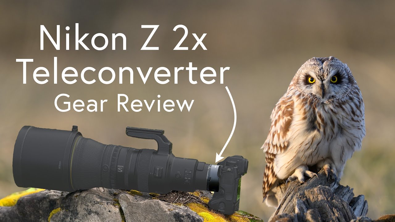 Nikon Z 2x Teleconverter - Gear Review for Wildlife Photography