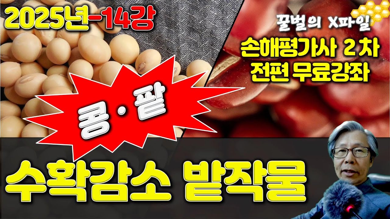 손해평가사 25-14강 수확감소 밭작물  콩&middot;팥- 2025년 제11회 손해평가사 2차 전과목 무료강좌