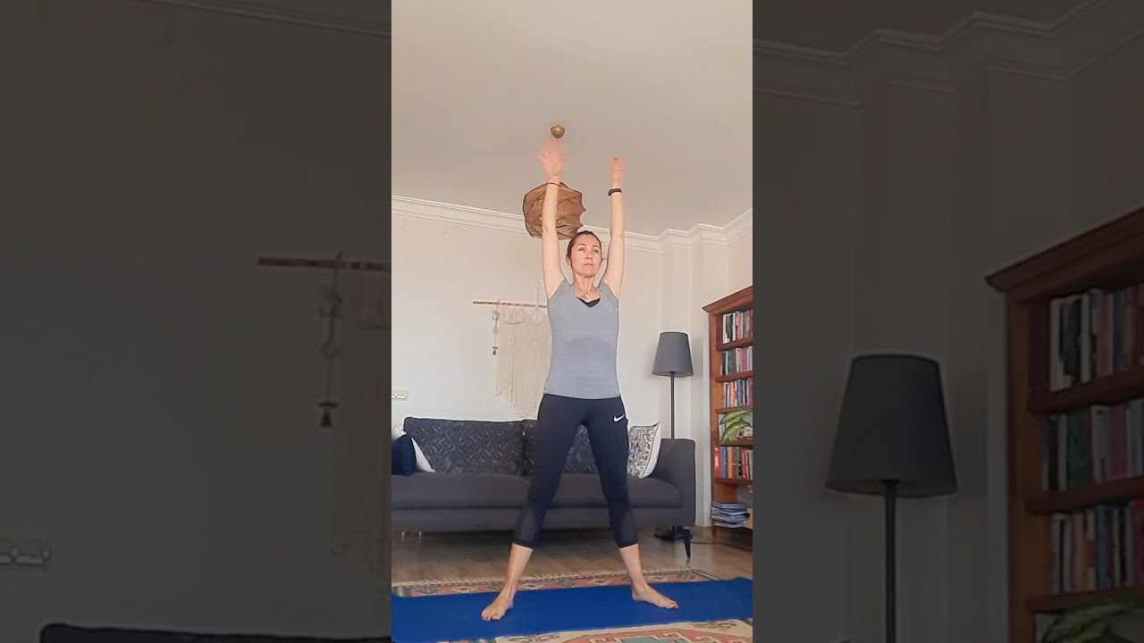 Altin Tohum- Taovinyasa &Ccedil;alışmaları
