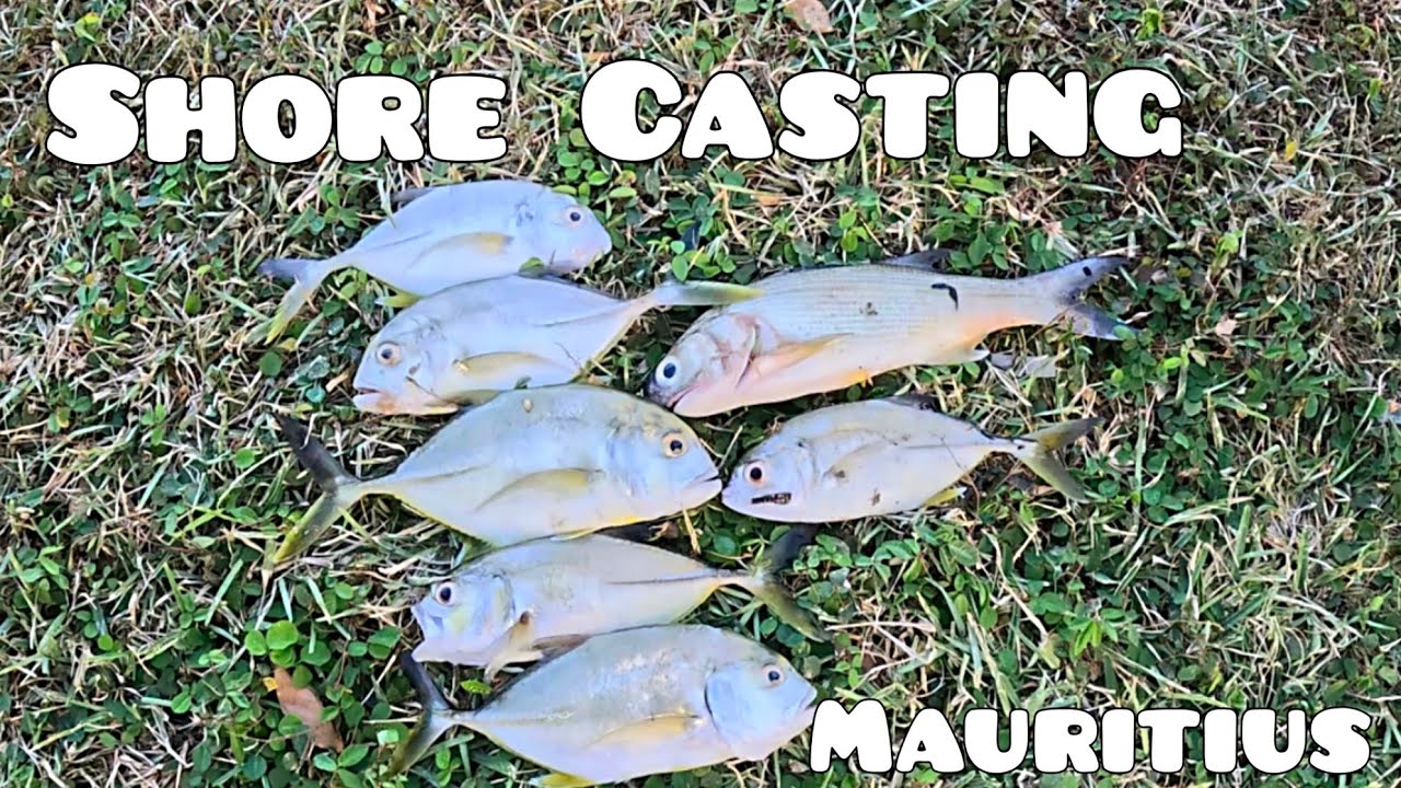 | shore casting fishing | fishing on popper |