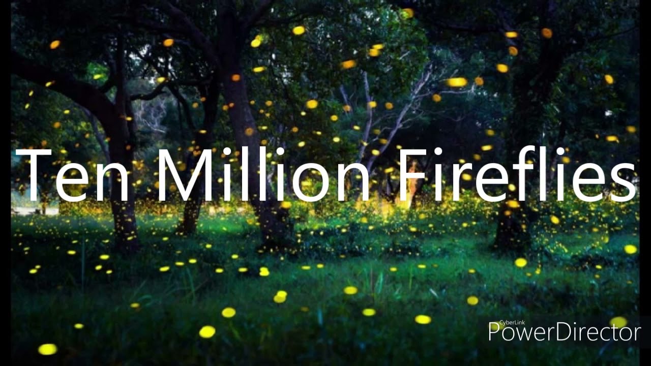 10,000,000 Fireflies Ultimate Mashup (200 Subscriber Special)