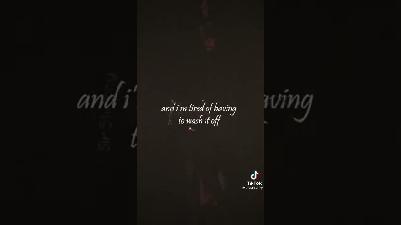 sirstirfry bear smp application tiktok