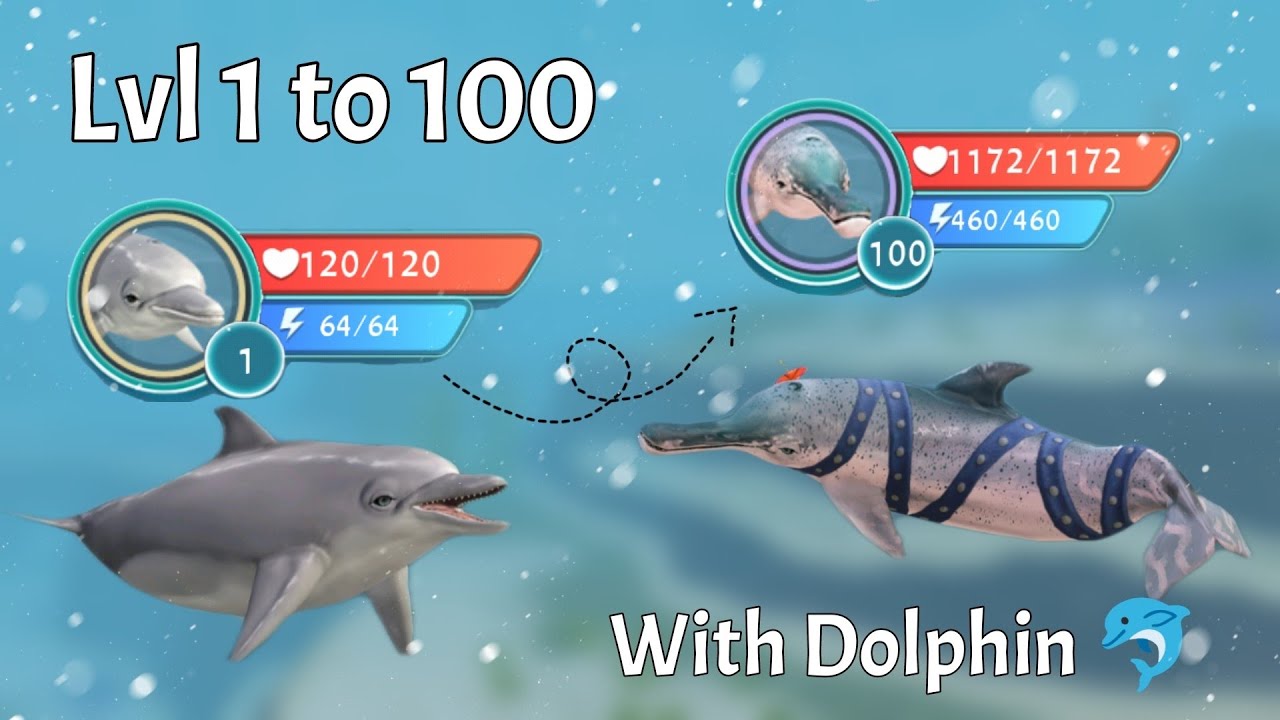 WildCraft lvl 1 to 100 with dolphin 🐬