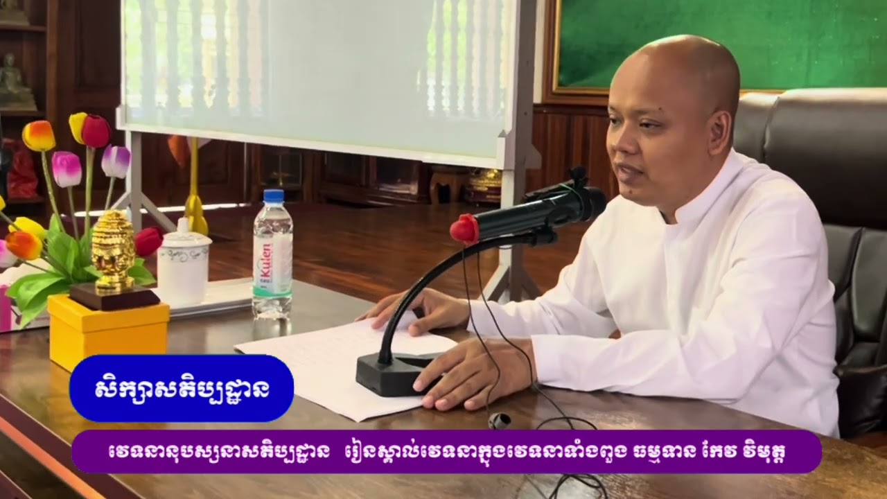២៩​ សតិប្បដ្ឋាន​ របៀប​បដិ​បត្តិ​ល្អ​ៗក្នុង​វេទនា