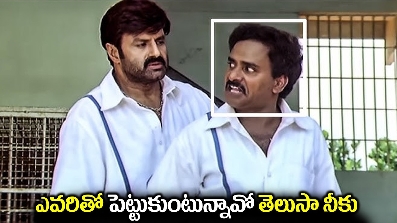 ఎవరితో పెట్టుకుంటున్నావో తెలుసా నీకుBalakrishna Ultimate Scene With Venu Madhav | Telugu Movie Scene