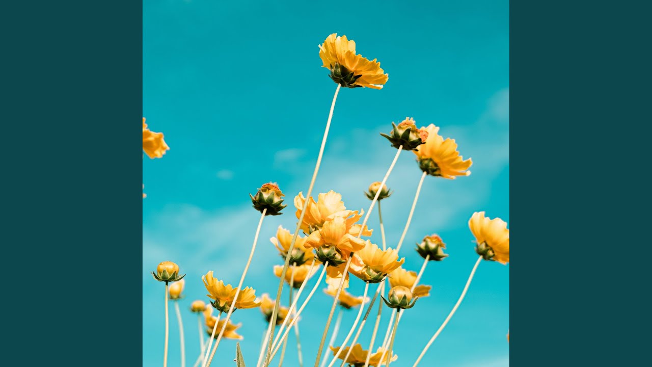 may