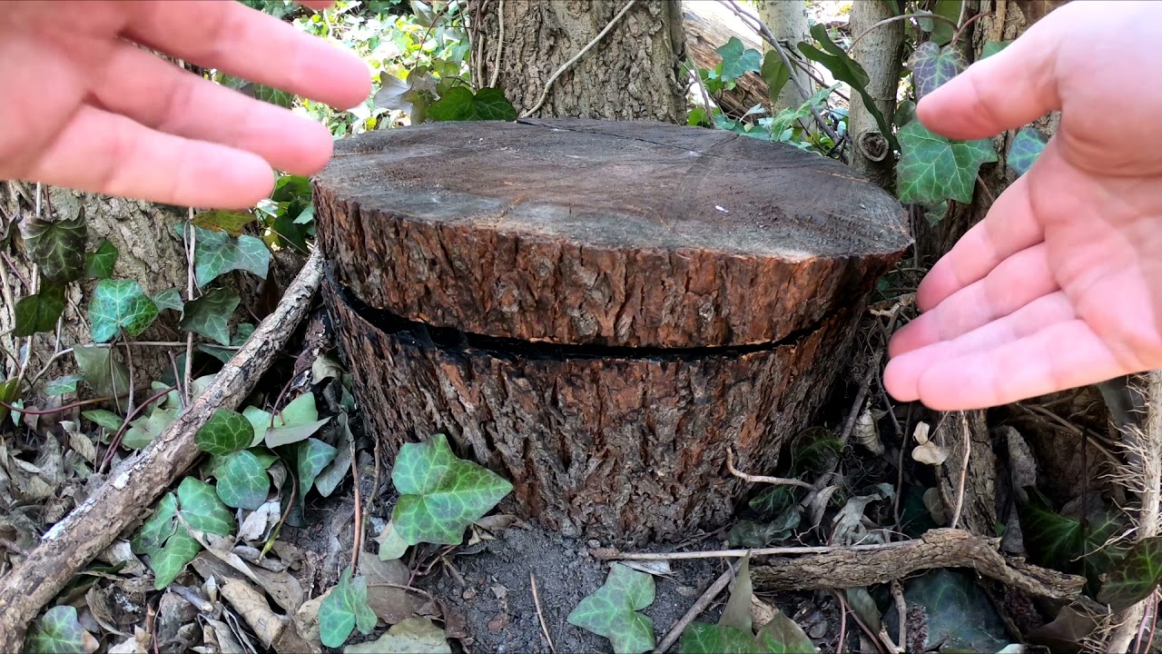 Geocaching, avagy ládakutatás Cat S62 PRO-val