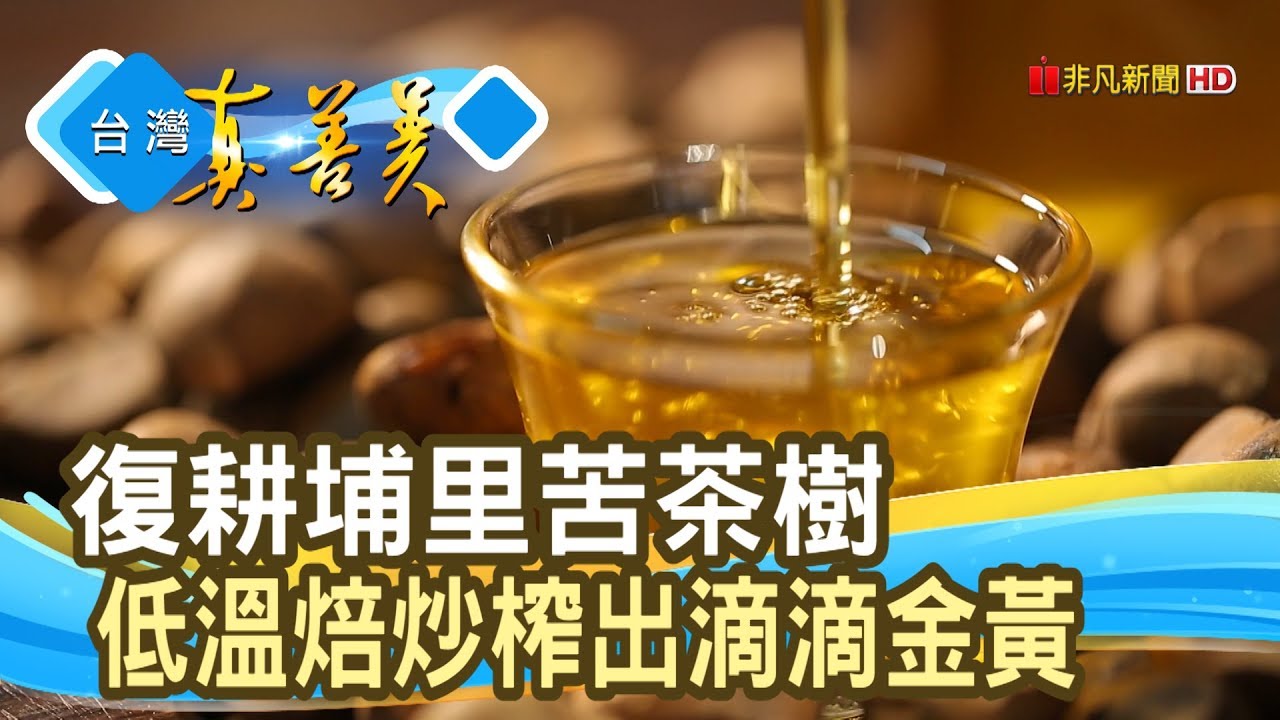 苦盡甘來的“埔里苦茶油”【台灣真善美】2019.11.03