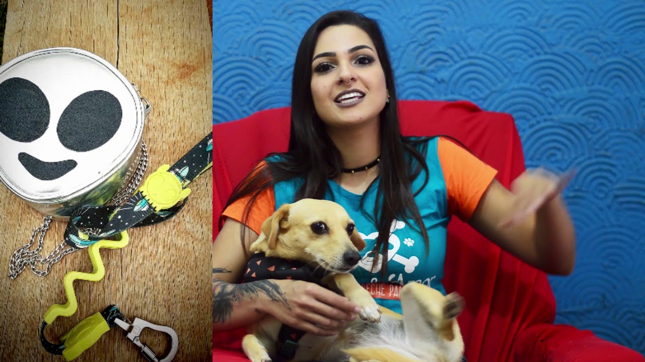 #RESENHA ZEE.DOG - Guia e coleiras