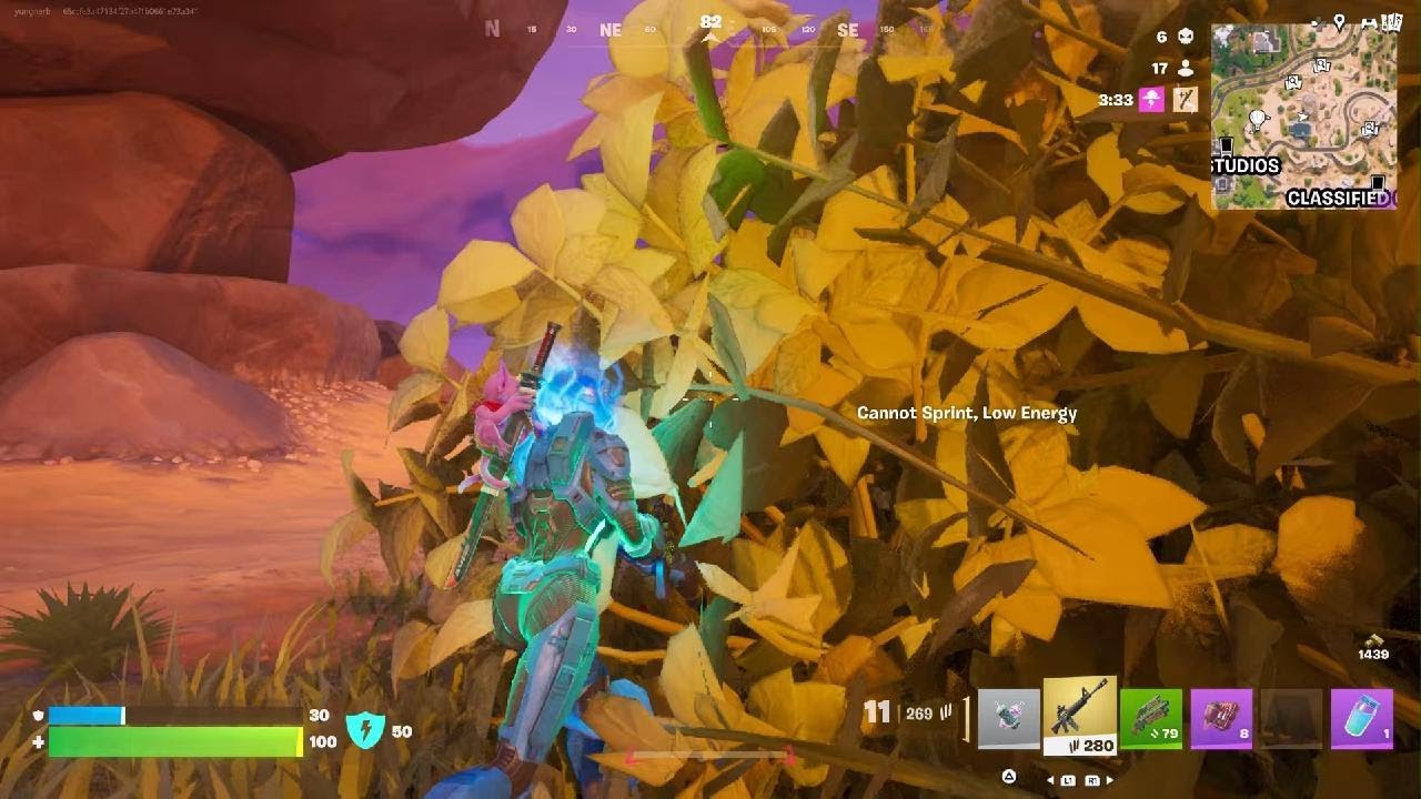 Fortnite_20260115140728