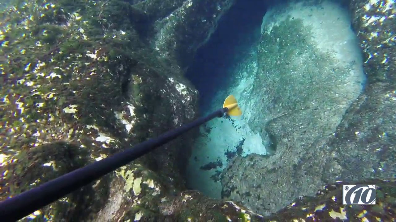Florida Treasures: Kayak the Chassahowitzka to see caves, springs