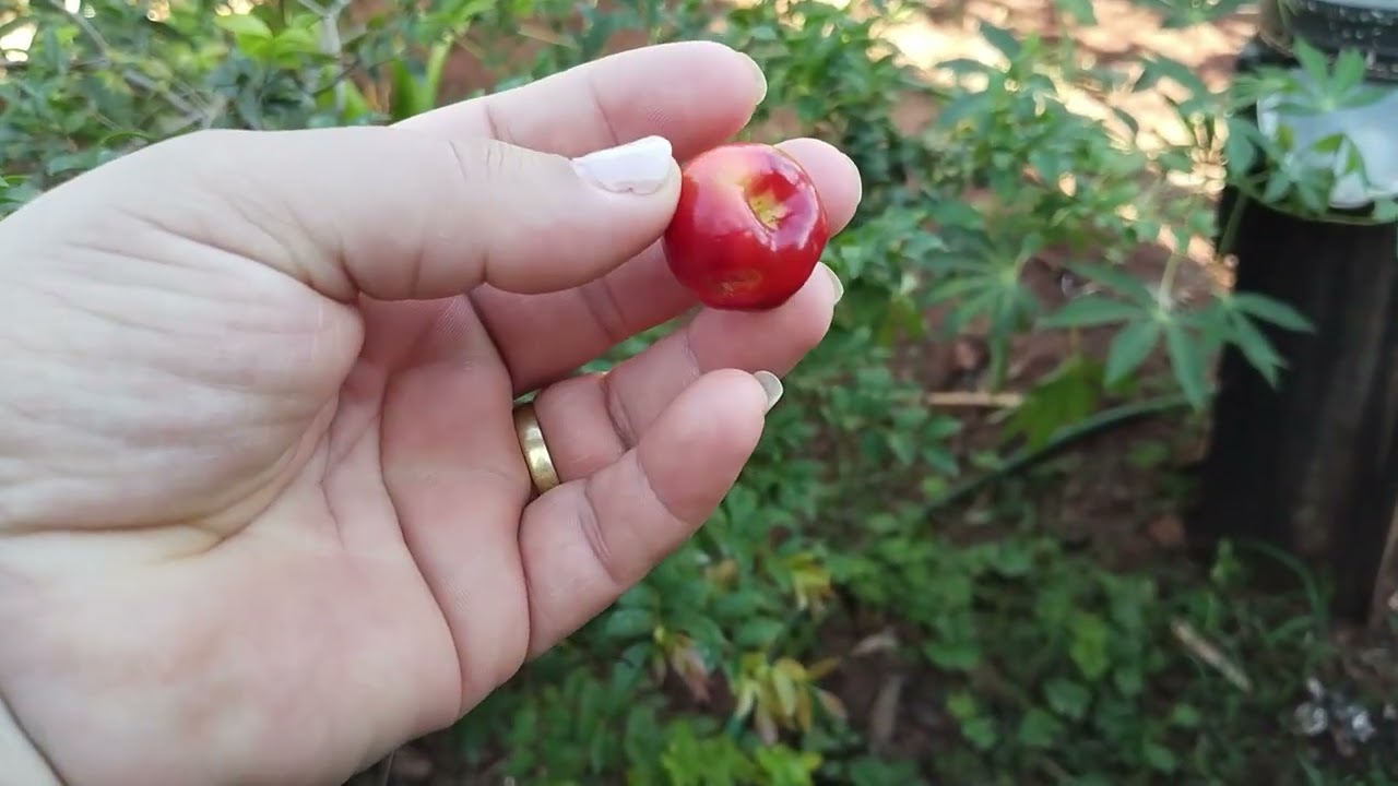 Tou muito feliz começou dar  frutos