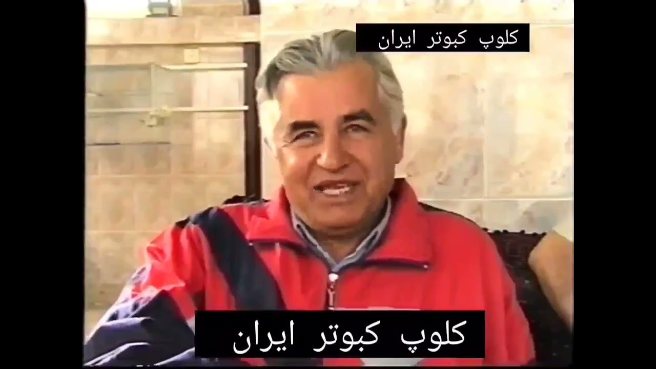 ❤️سال 1382  کلیپ قدیمی  سخنان️ آقای #محسن_رهبری #محسن_کل_ابرام  Iranian high flyer pigeon