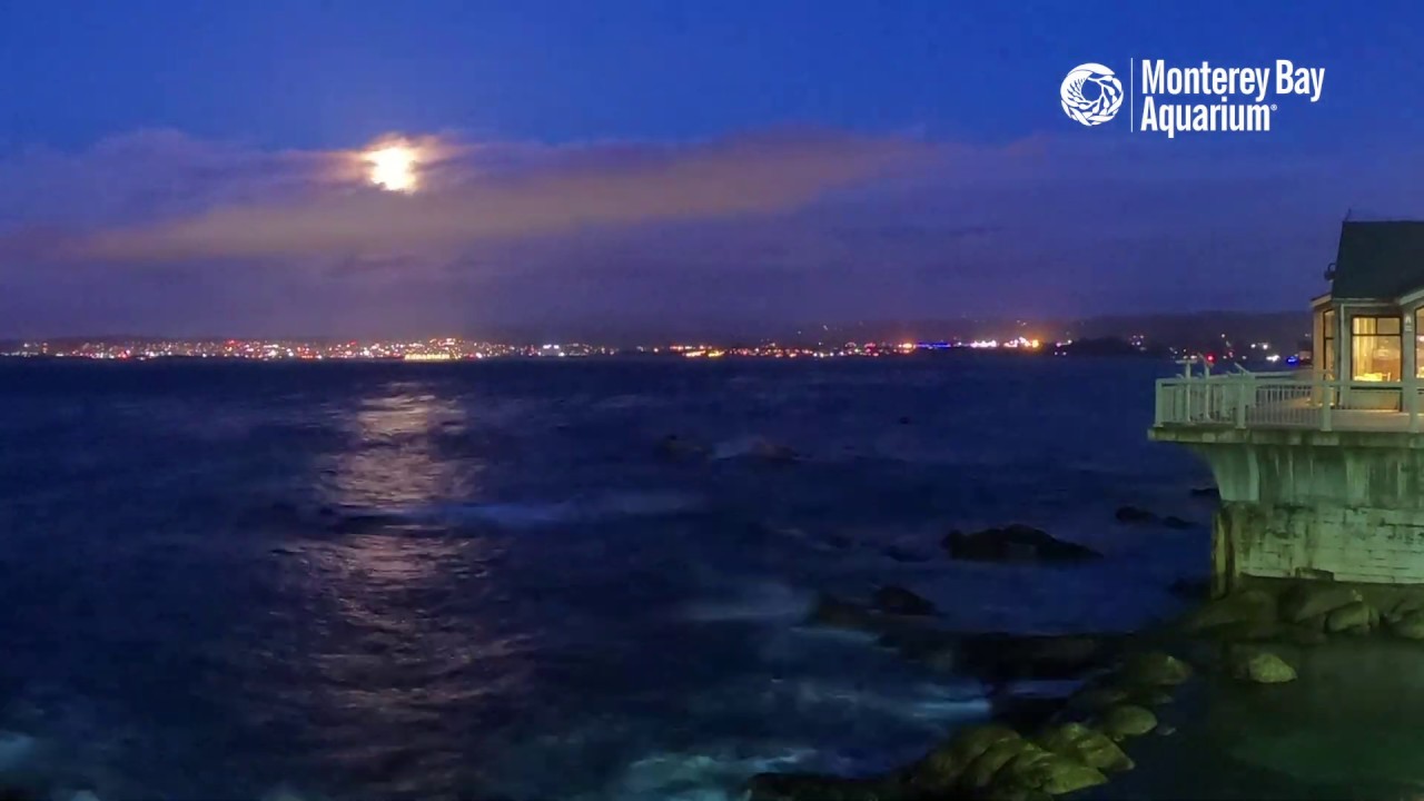 Supermoon Rising Over Monterey Bay Aquarium — April 7, 2020