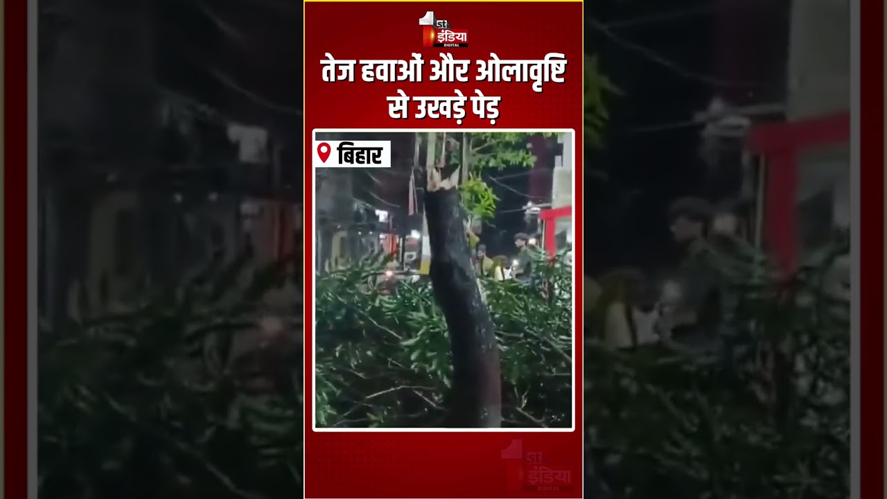Hailstorm In Bihar: तेज हवाओं और ओलावृष्टि से उखड़े पेड़ | Tress Uprooted | Heavy Winds | Heavy Rain