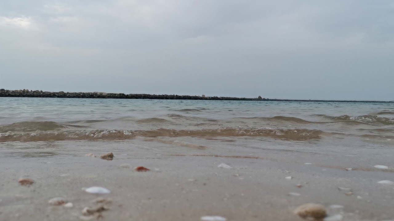 Clam sea wave sound