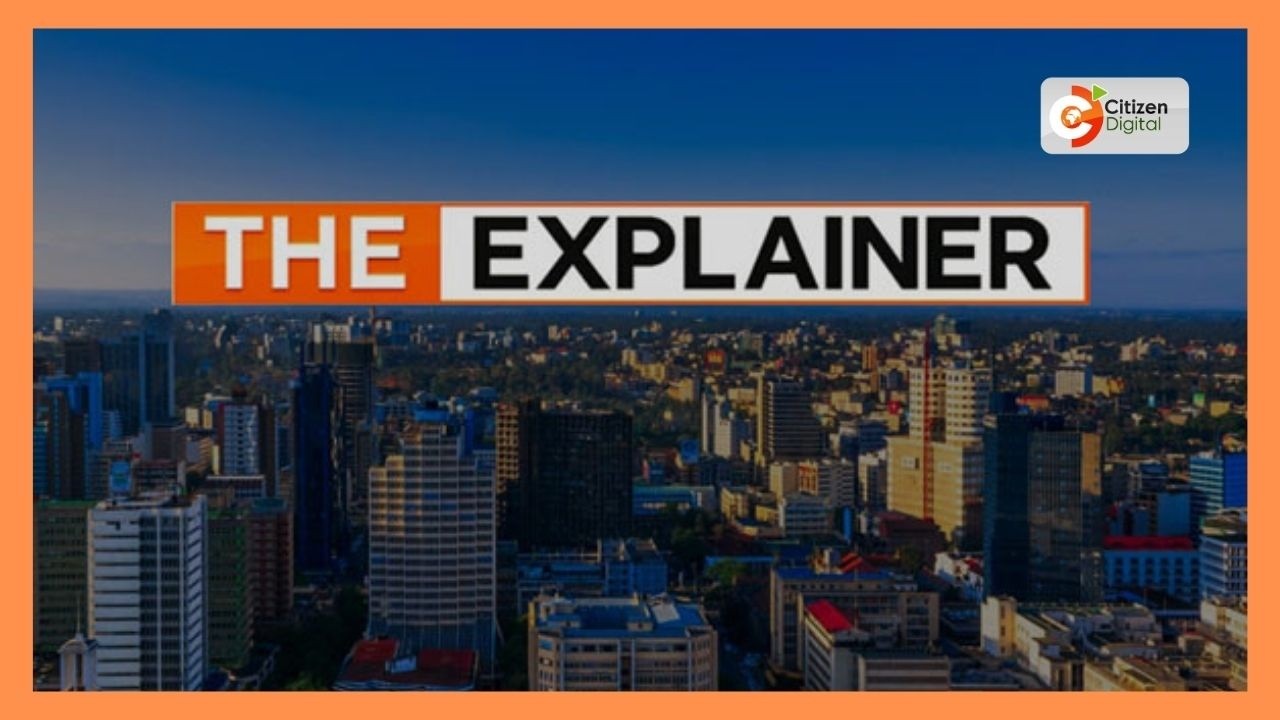 THE EXPLAINER 19 МАЯ 2026 Г.