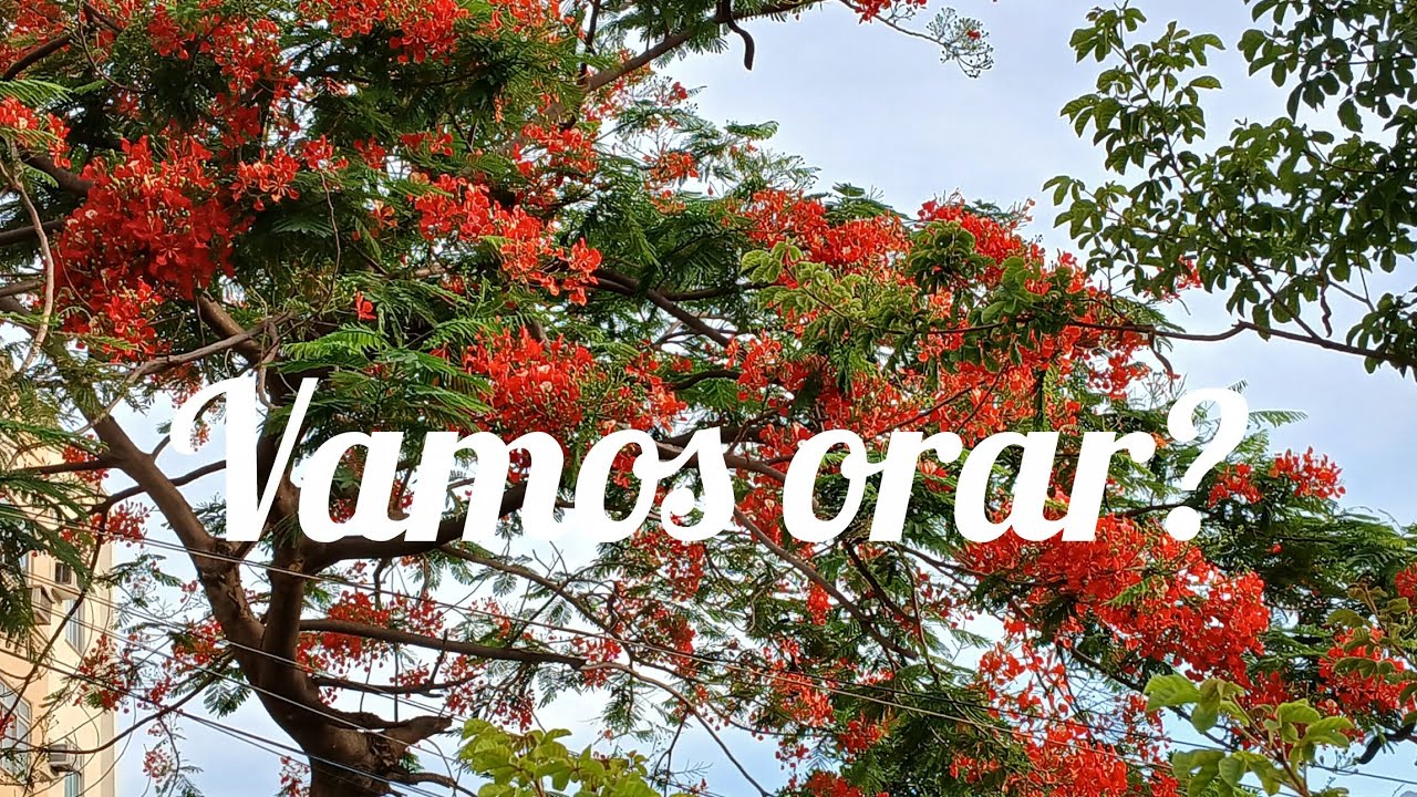 Somos abençoados em Cristo Jesus em qualquer circunstâncias 