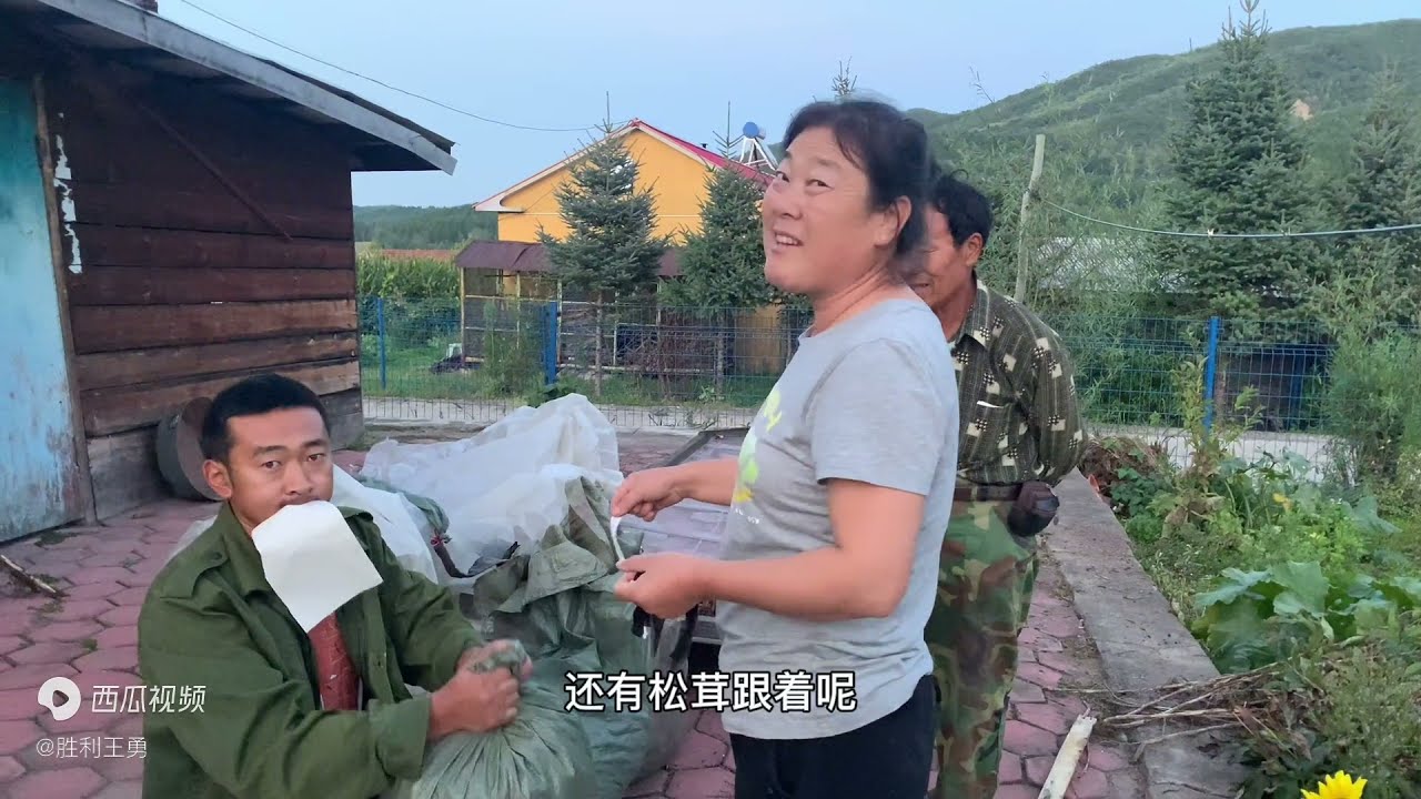 20210910-王勇林场收蘑菇不给现钱，一律打白条，山东大爷老两口一天赚一千多