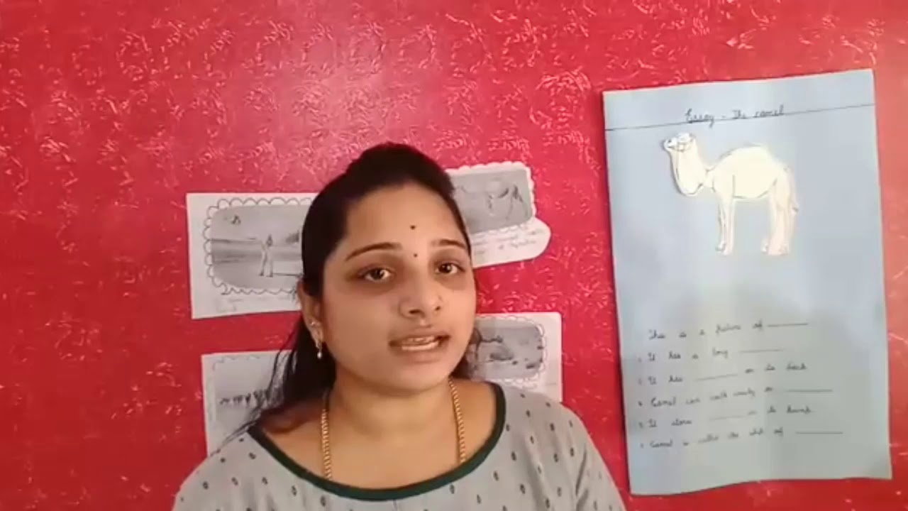 Class Sr. KG. Subject &ndash; English Topic - Essay-The Camel Teacher- Revathimam