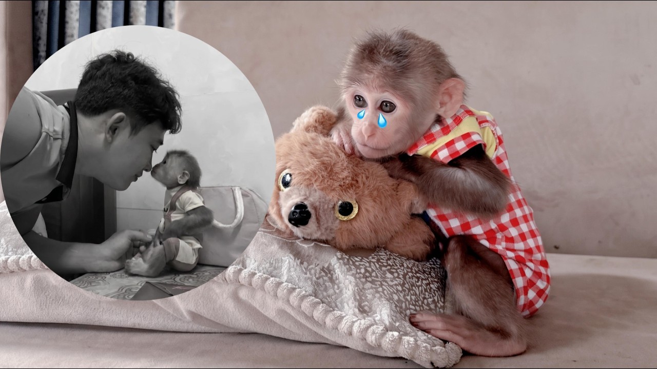 Lulu Misses Dad So Much &mdash; When Will He Come Back?