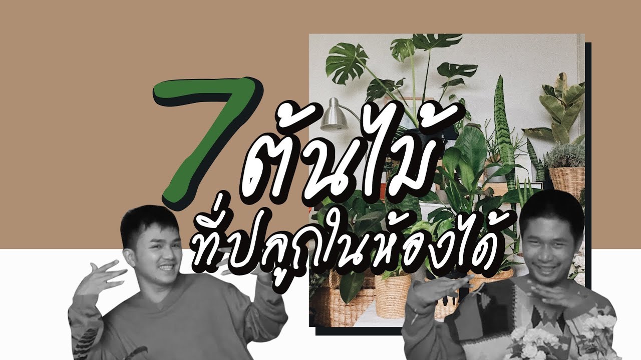 รายการรังรัก EP.1 | #7ต้นไม้ที่ปลูกในห้องได้