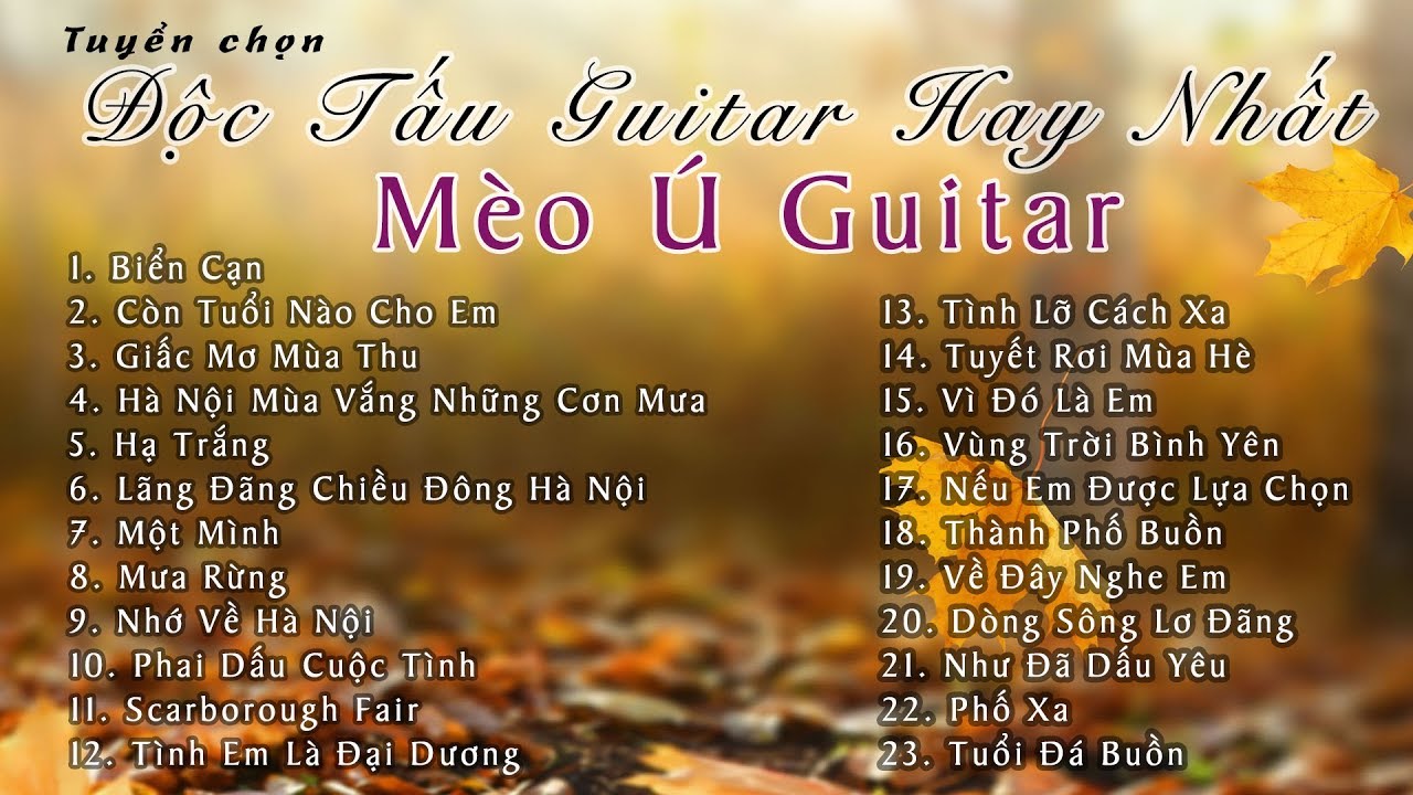 Tuyển Chọn Nhạc Độc Tấu Guitar Hay Nhất | Mèo Ú Guitar