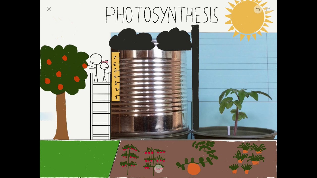 2. Our energy comes from the sun? (Fast Forward Science 2019)