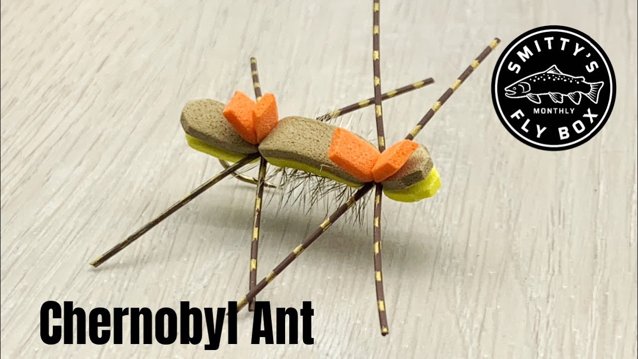 Chernobyl Ant