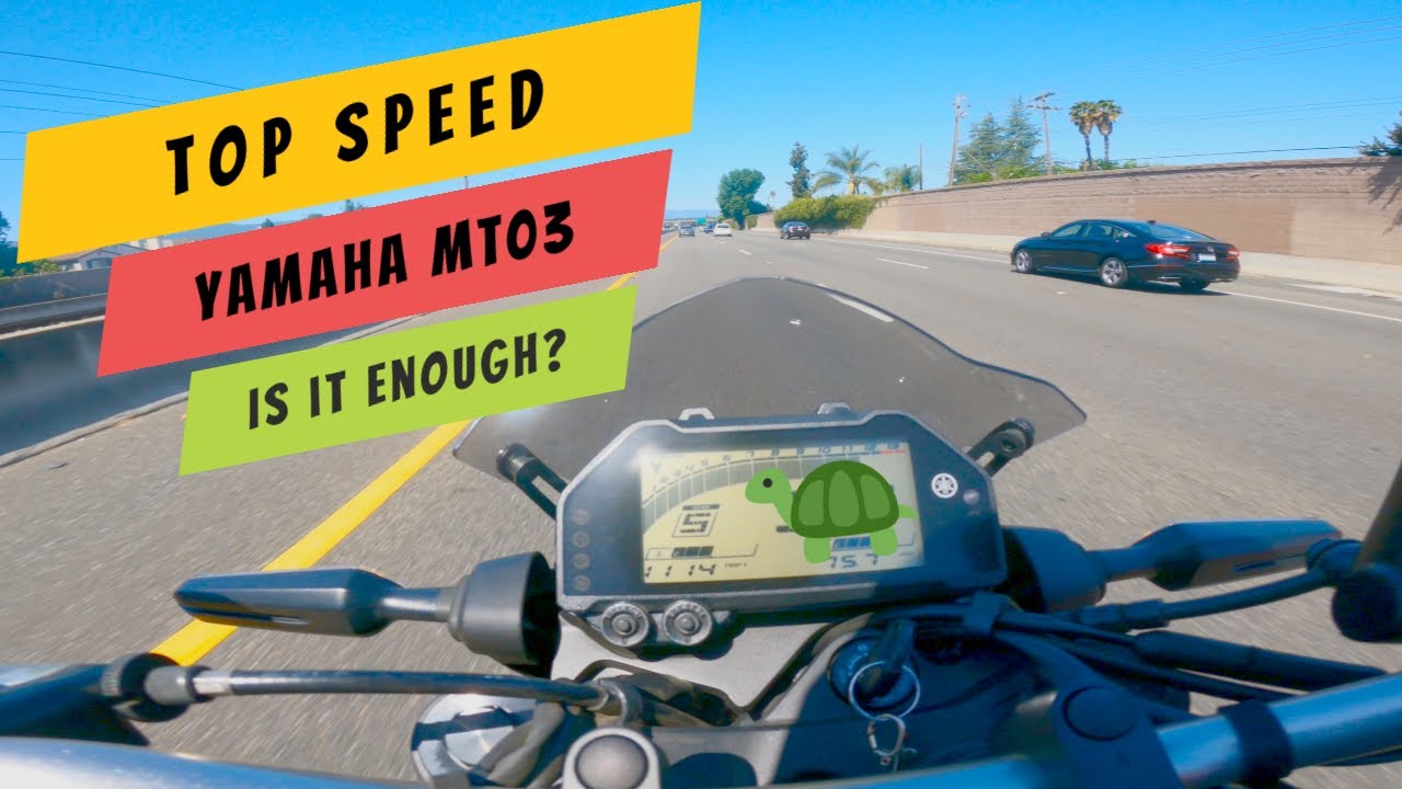 Yamaha MT03 | Top Speed| Is 300cc enough?