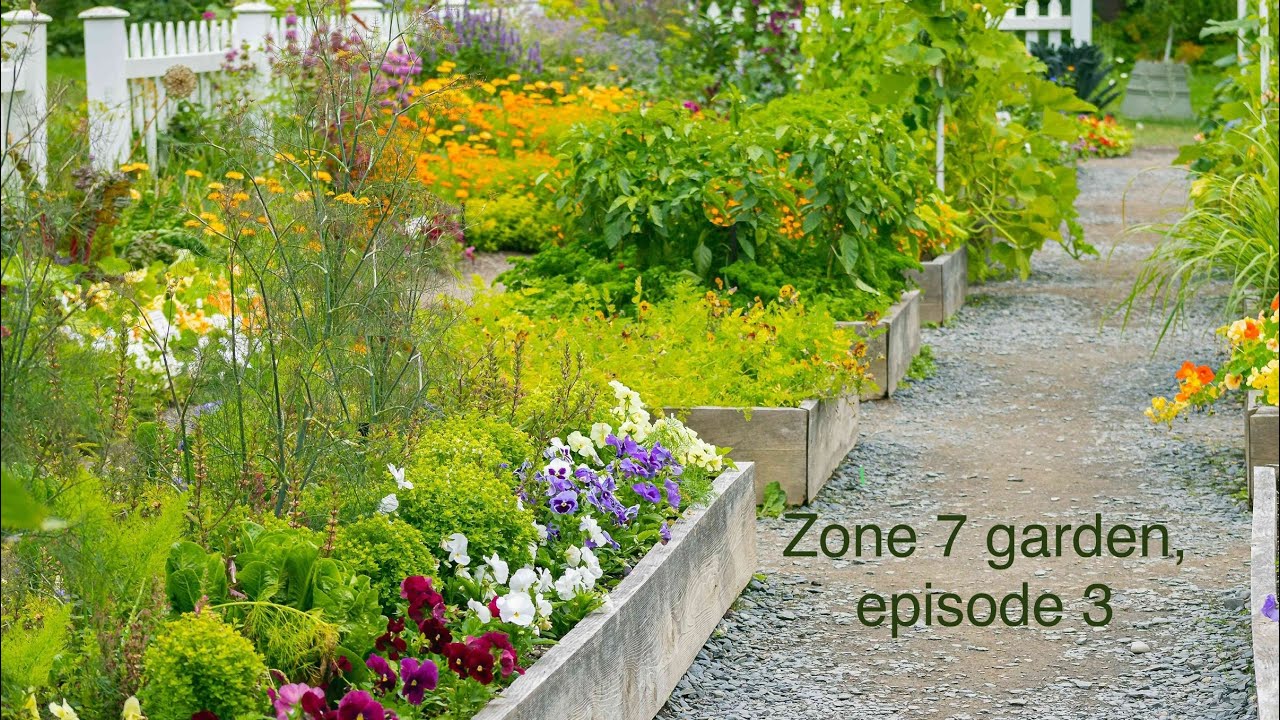 Zone 7 garden, episode 3.  It&rsquo;s warming up!